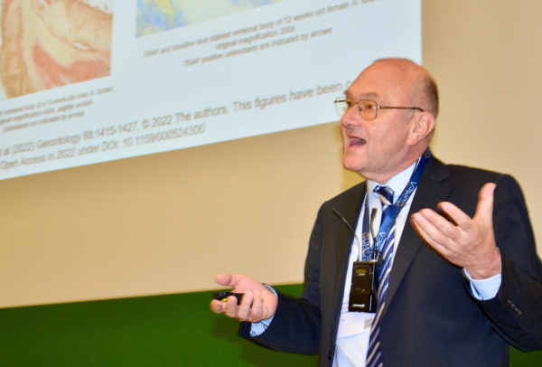 Professor Peter Pietschmann