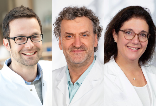 Portraits von Prof. Michael Denkinger, Prof. Markus Gosch und Prof. Katrin Singler